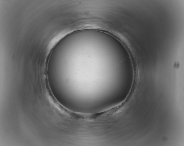 X0000111781373200907301110
