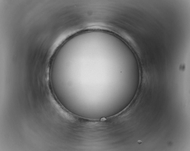 X0000111781376200907301110