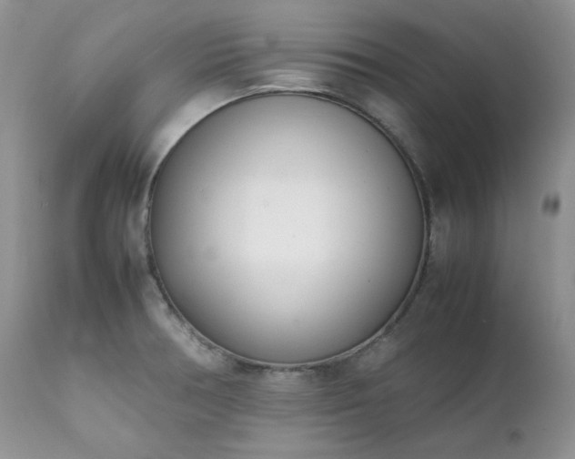 X0000111781378200907301110