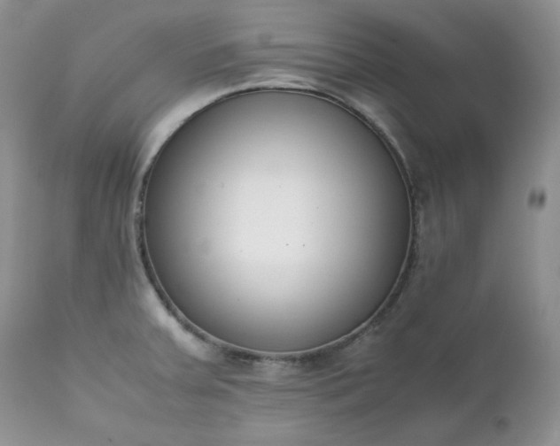 X0000111781379200907301110