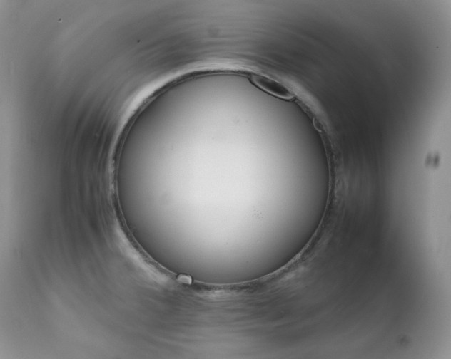 X0000111781380200907301110