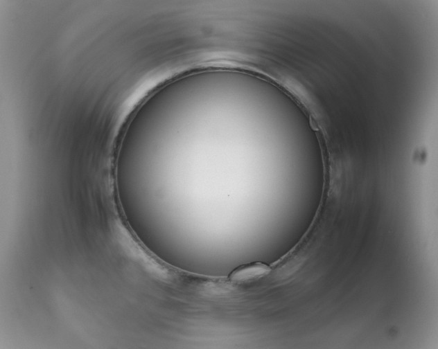 X0000111781384200907301110