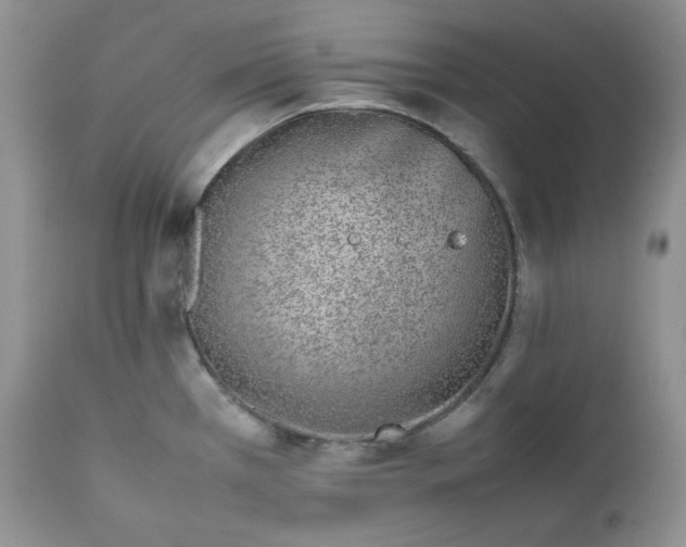 X0000111781385200907301110