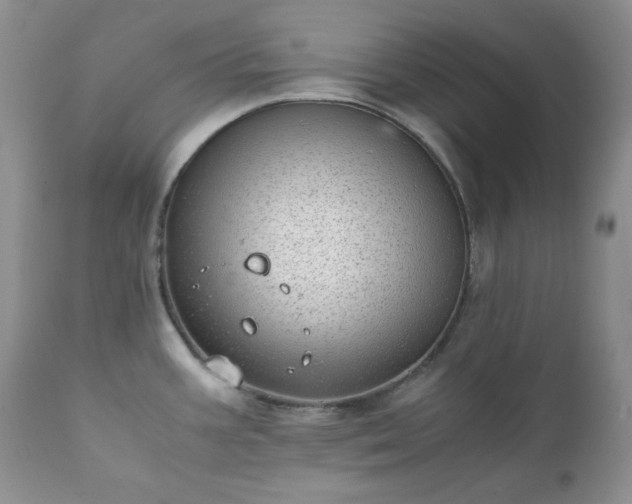X0000111781387200907301110