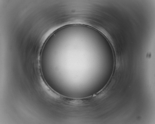X0000111781388200907301110