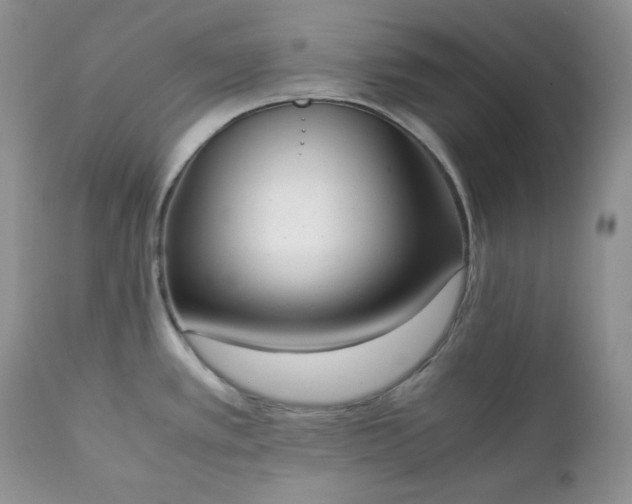 X0000111781389200907301110