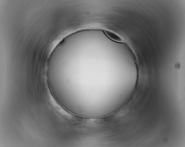 X0000111781390200907301110