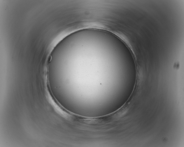 X0000111781391200907301110