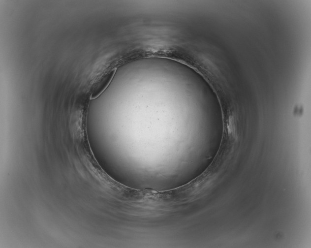 X0000111781396200907301109