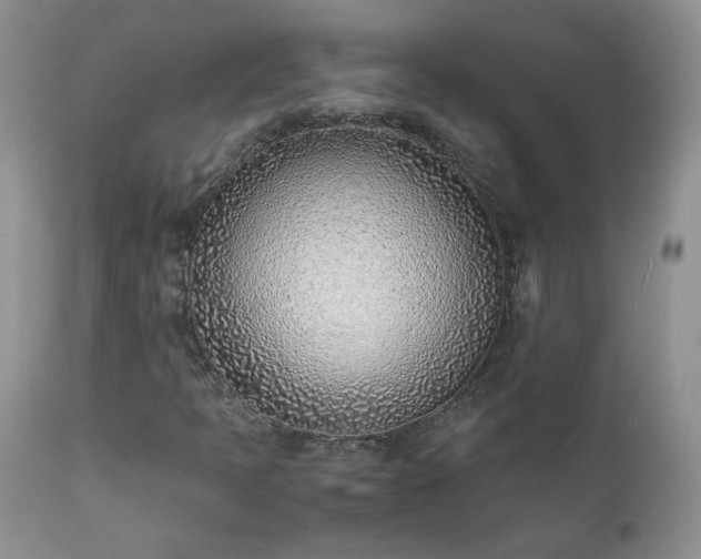 X0000111781397200907301109