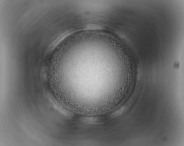 X0000111781401200907301109
