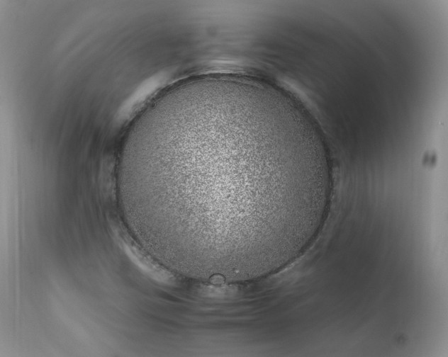 X0000111781403200907301109