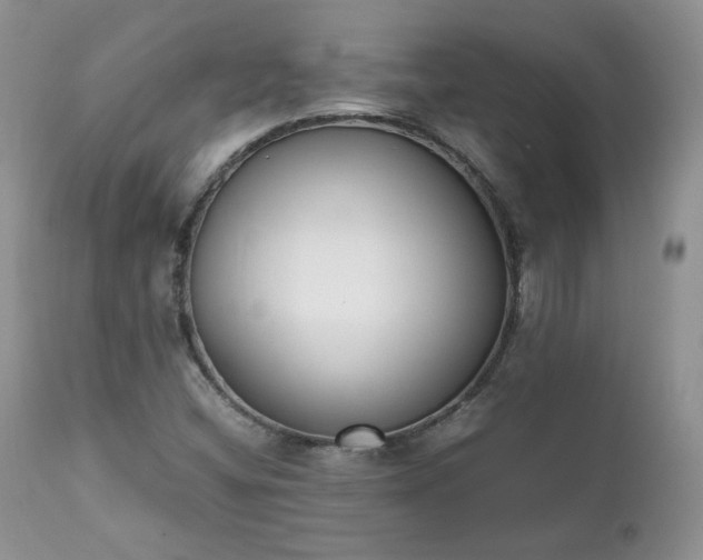 X0000111781404200907301109