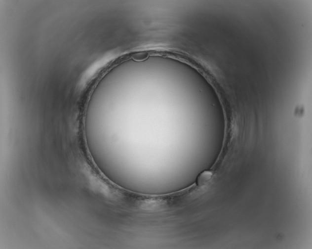 X0000111781406200907301109