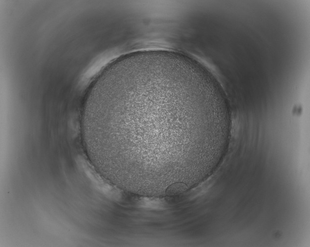 X0000111781407200907301109