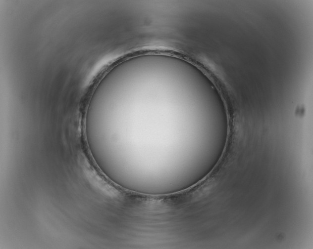 X0000111781408200907301109