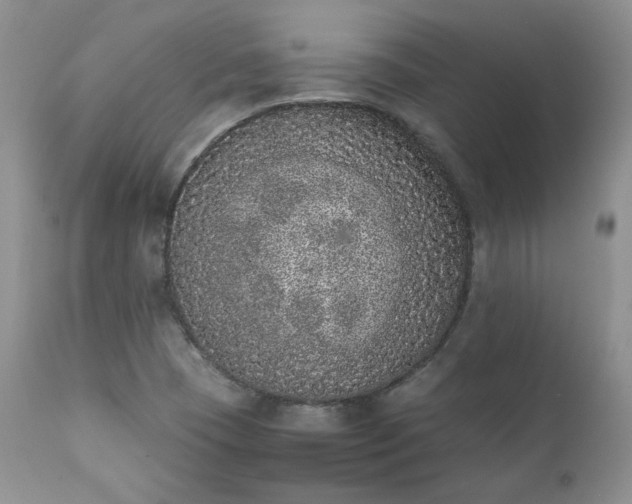 X0000111781409200907301109