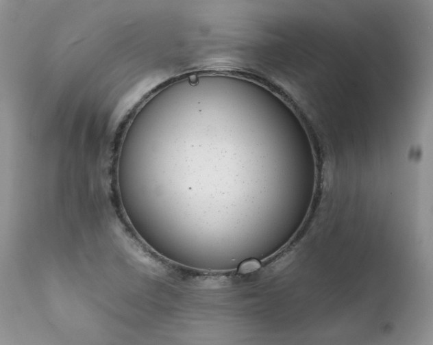 X0000111781410200907301109