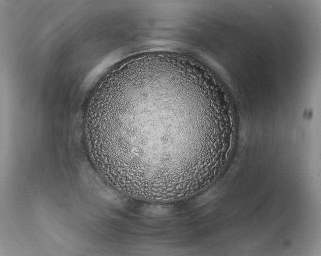 X0000111781411200907301109