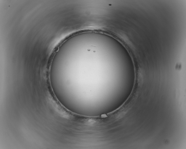 X0000111781412200907301110