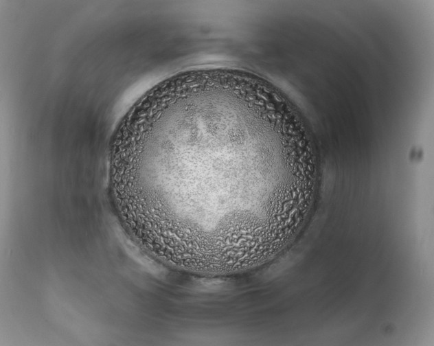 X0000111781413200907301110