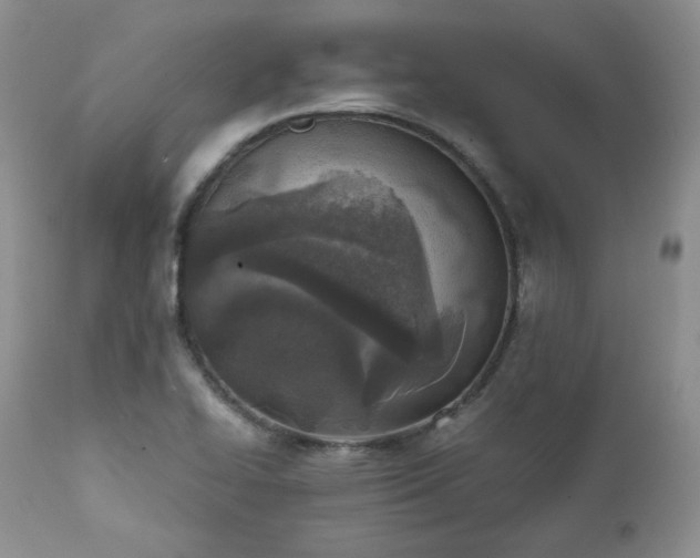 X0000111781414200907301110