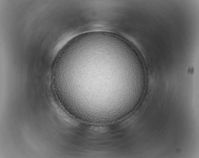 X0000111781415200907301110