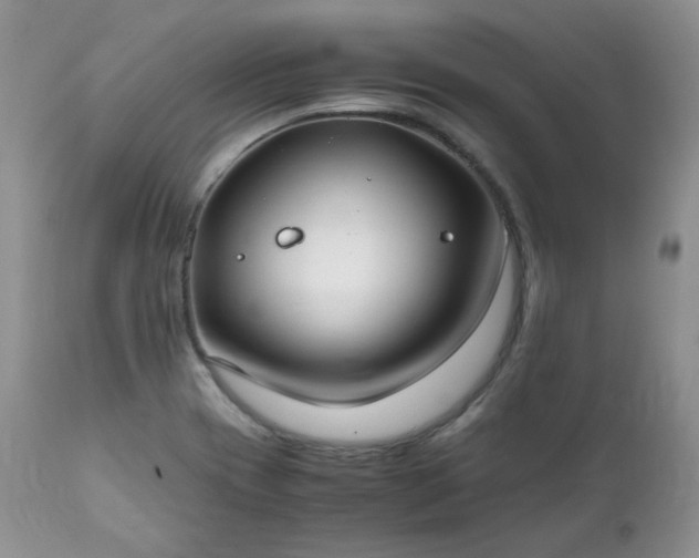 X0000111781417200907301110