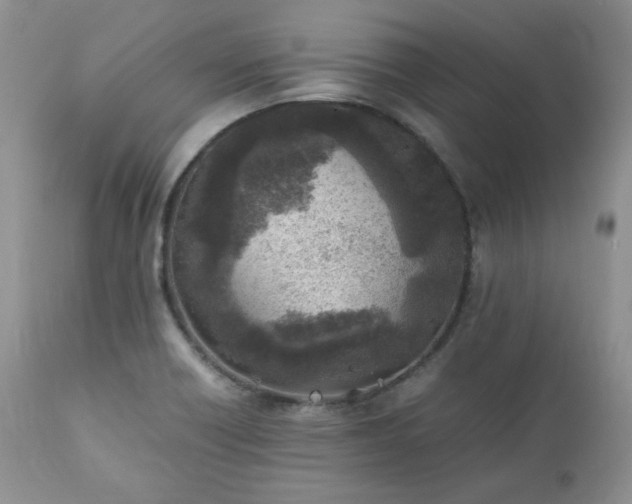 X0000111781418200907301110