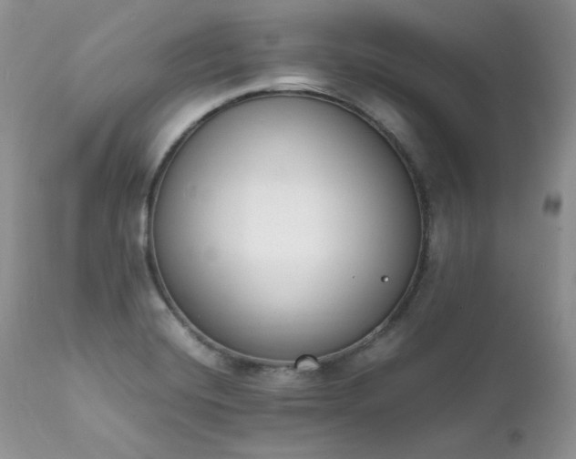 X0000111781420200907301110