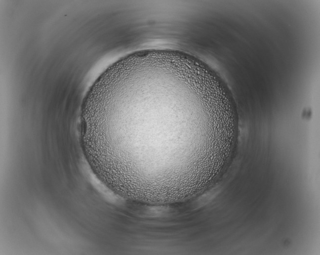 X0000111781421200907301110