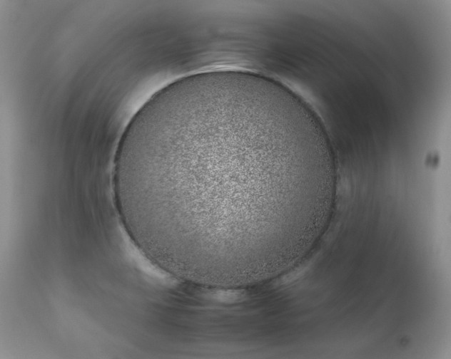 X0000111781423200907301110