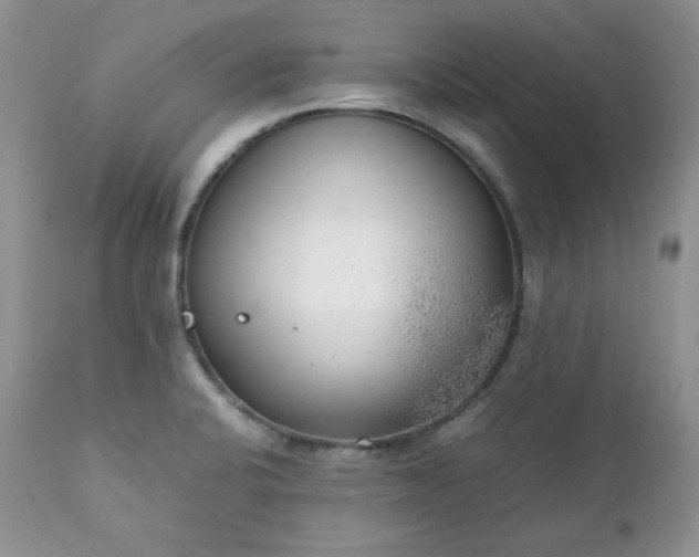 X0000111781424200907301110