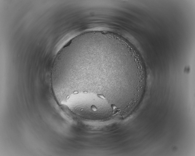 X0000111781425200907301110