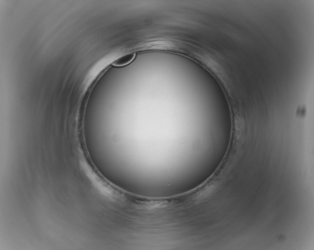 X0000111781426200907301110