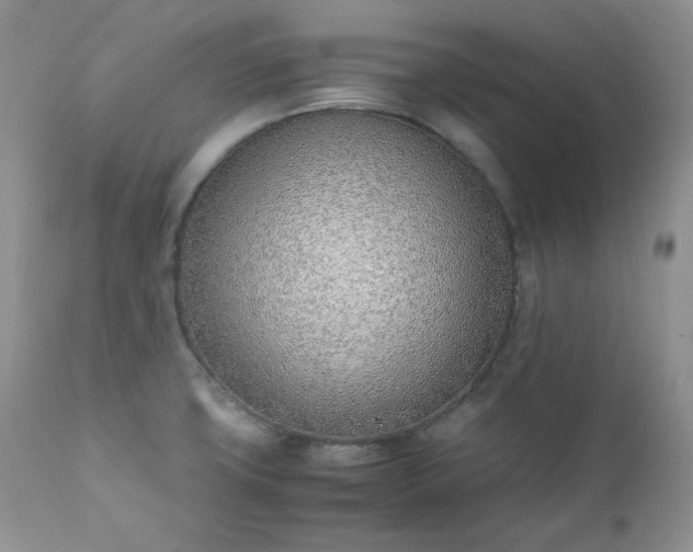X0000111781427200907301110