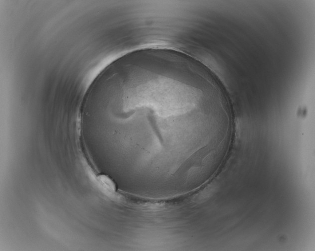 X0000111781428200907301110