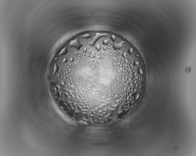 X0000111781429200907301110