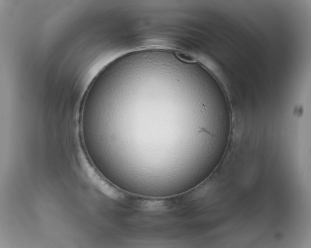X0000111781431200907301110