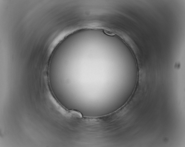 X0000111781432200907301110