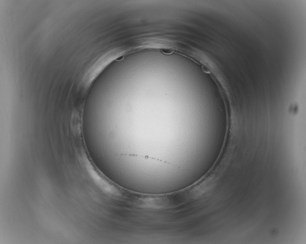 X0000111781433200907301110