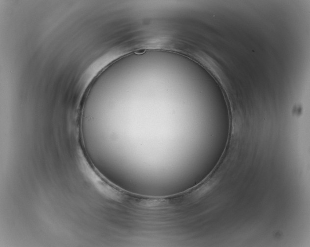 X0000111781434200907301110