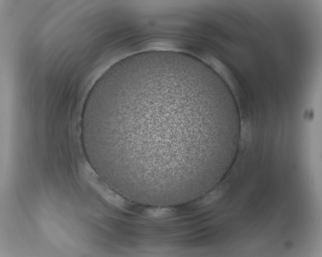 X0000111781435200907301110