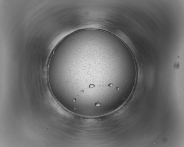 X0000111781436200907301110
