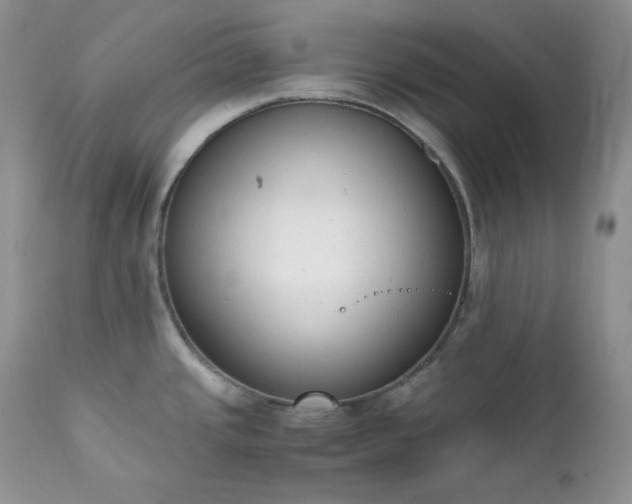 X0000111781437200907301110