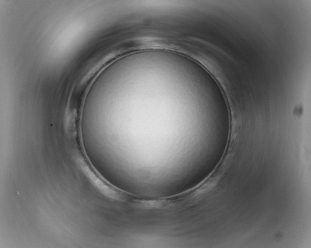 X0000111781438200907301110