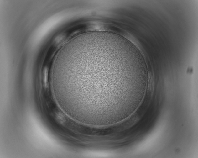X0000111781439200907301110