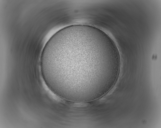 X0000111781440200907301110