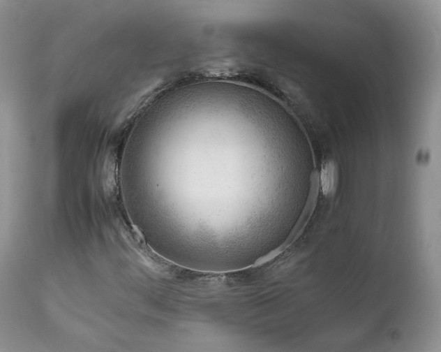 X0000111781444200907301109