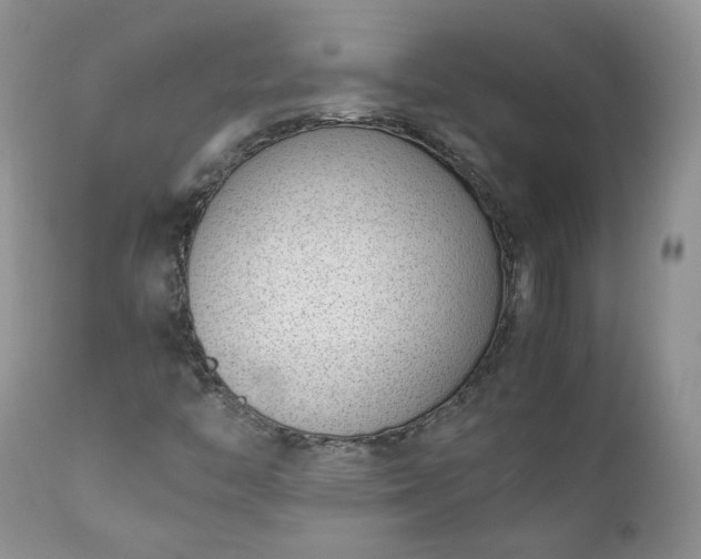 X0000111781446200907301109